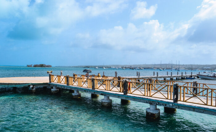 Roatan Island Discovery Tour