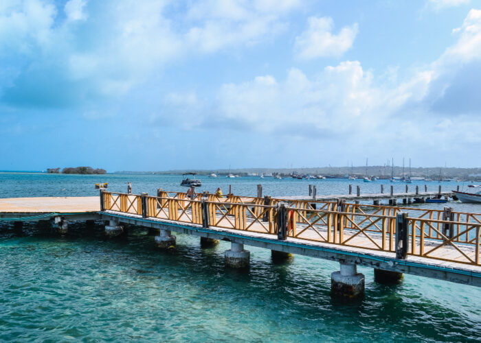 Roatan Island Discovery Tour